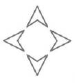 Icon cruisecompass-icon